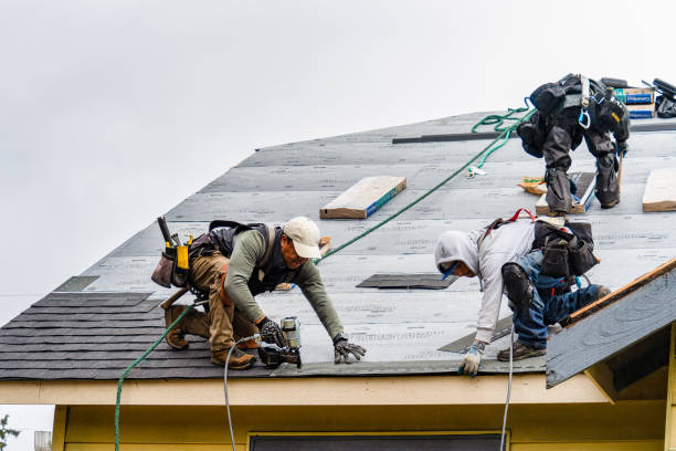 Professional Emergency Roof Repair technician working in Lecompton, KS